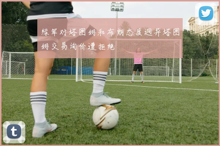 绿军对塔图姆和布朗态度迥异塔图姆交易询价遭拒绝