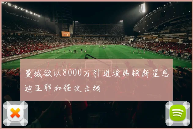曼城欲以8000万引进埃弗顿新星恩迪亚耶加强攻击线