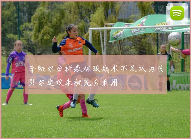 李凯尔分析森林狼战术不足认为戈贝尔进攻未被充分利用