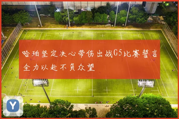 哈珀坚定决心带伤出战G5比赛誓言全力以赴不负众望